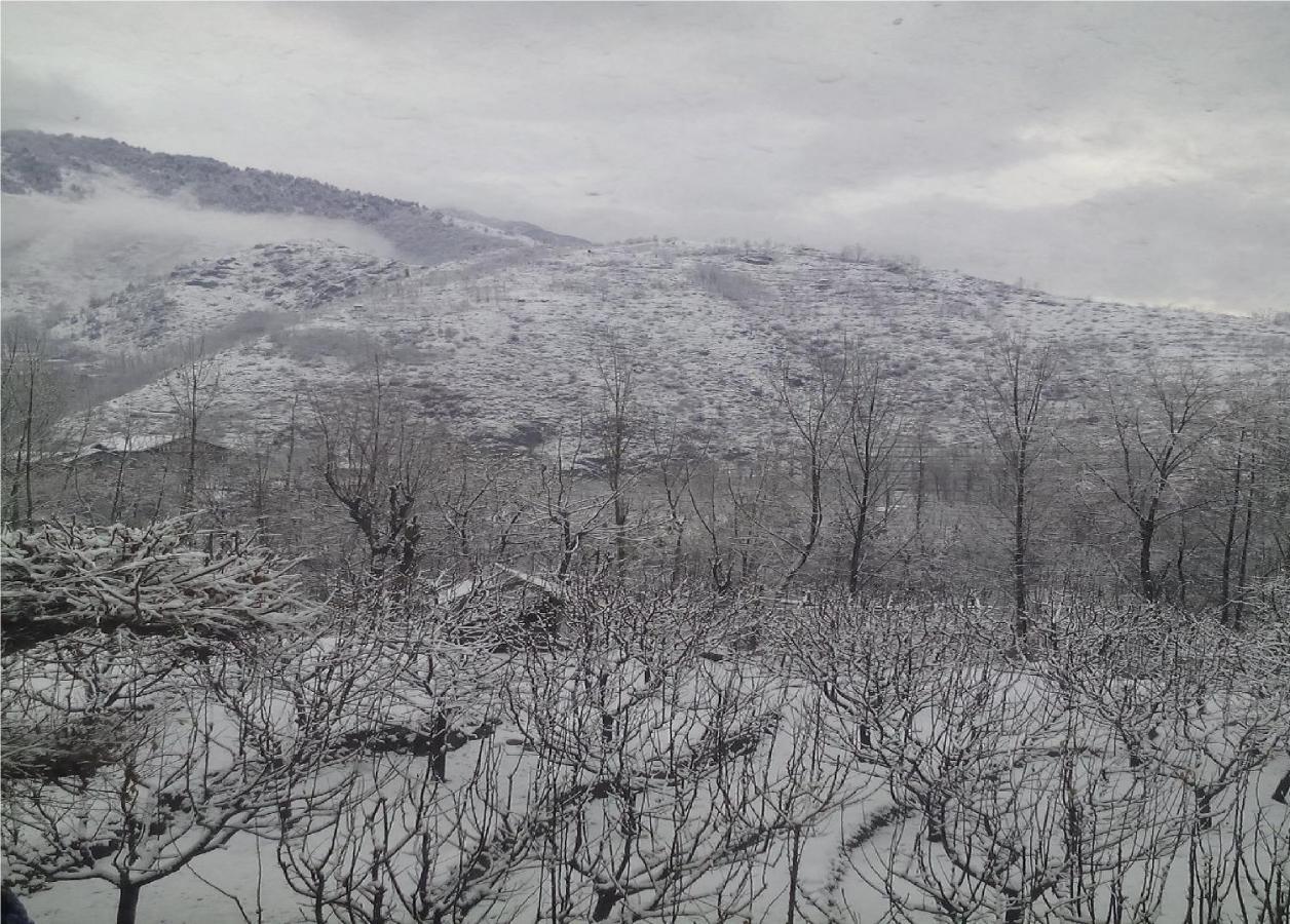 Calm Holiday Inn Srinagar  Bagian luar foto