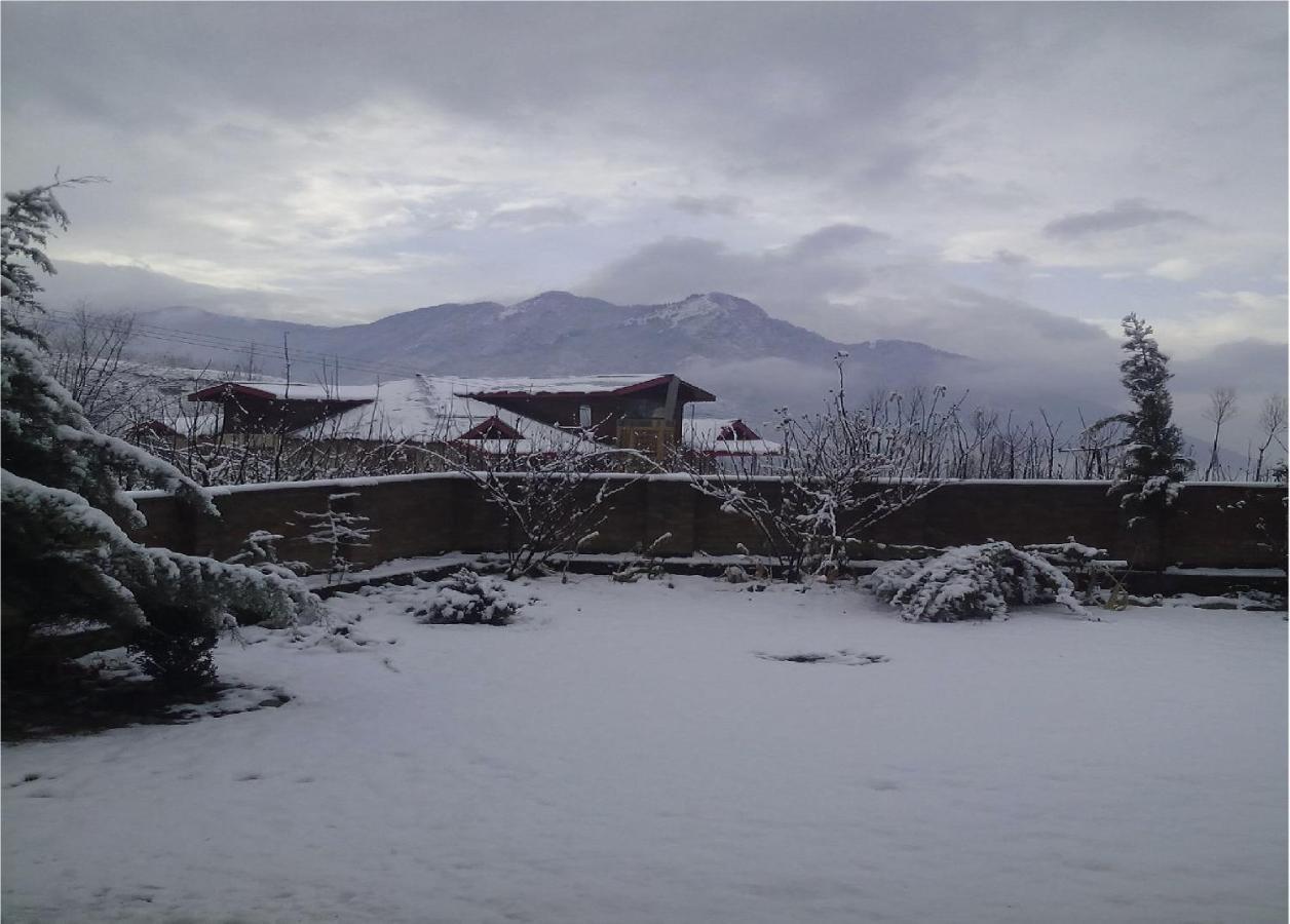 Calm Holiday Inn Srinagar  Bagian luar foto